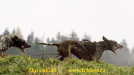 Tri studne MR 06 - 465.JPG